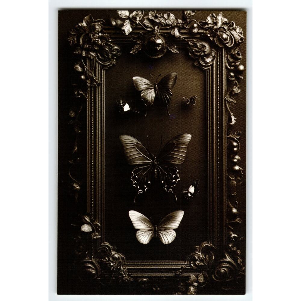 Vintage Photochrome Postcard Ornate Frame with Butterflies 5.5x4"